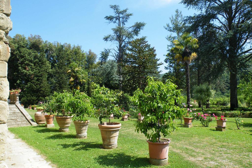 Agriturismo Fattoria Di Gragnone Exterior photo